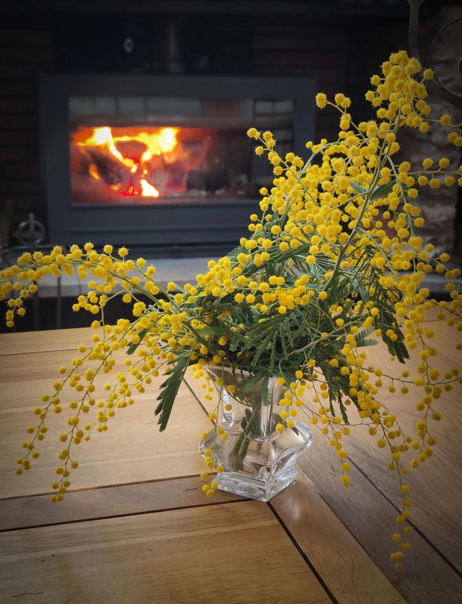 チュイル Mas Peu Del Causse Bed & Breakfast エクステリア 写真